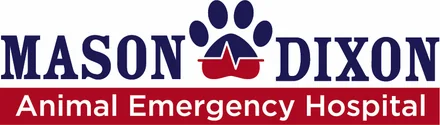 Jenny Longbottom, DVM practice logo
